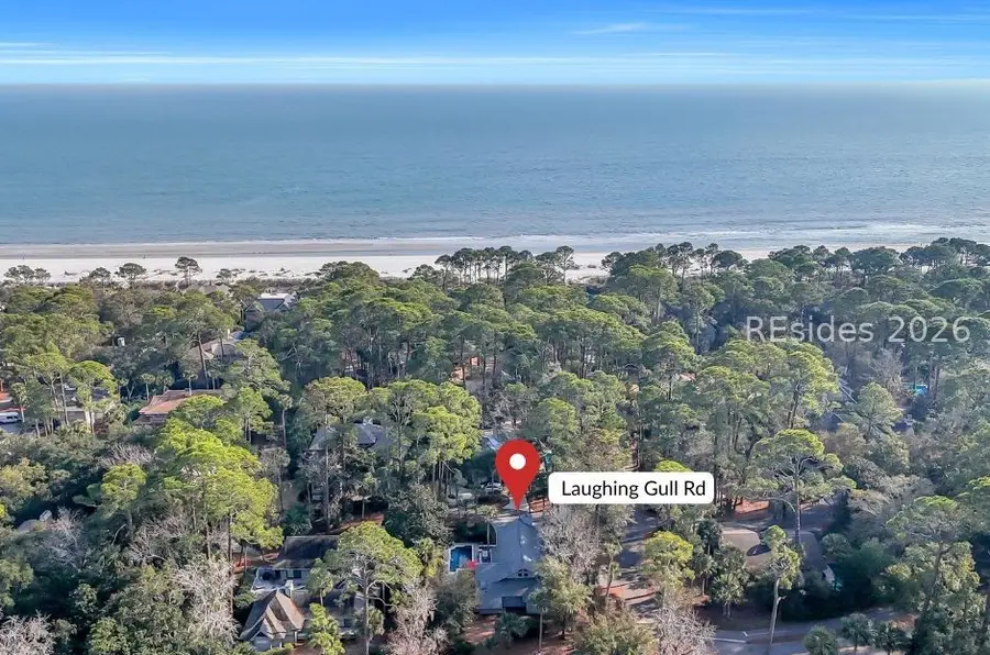 1 Laughing Gull Road, Hilton Head Island, SC 29928 - #3