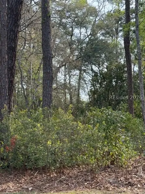 9 Blake Place, Hilton Head Island, SC 29928 - #2