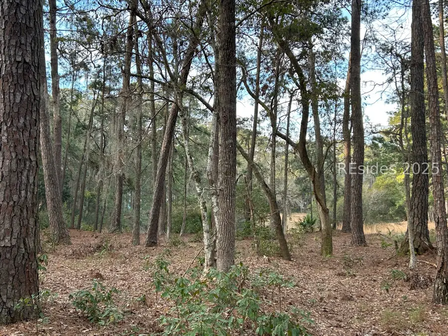 44 Masters Drive, Daufuskie Island, SC 29915 - #3