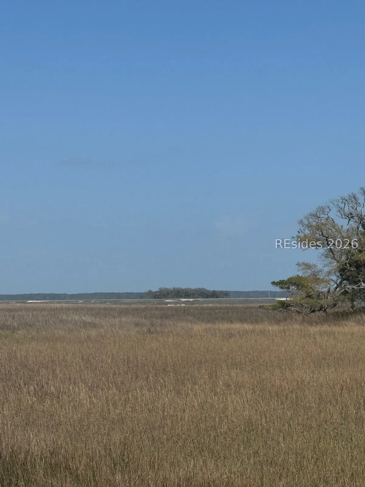 42 Cedar Cove Lane, Daufuskie Island, SC 29915 - #1