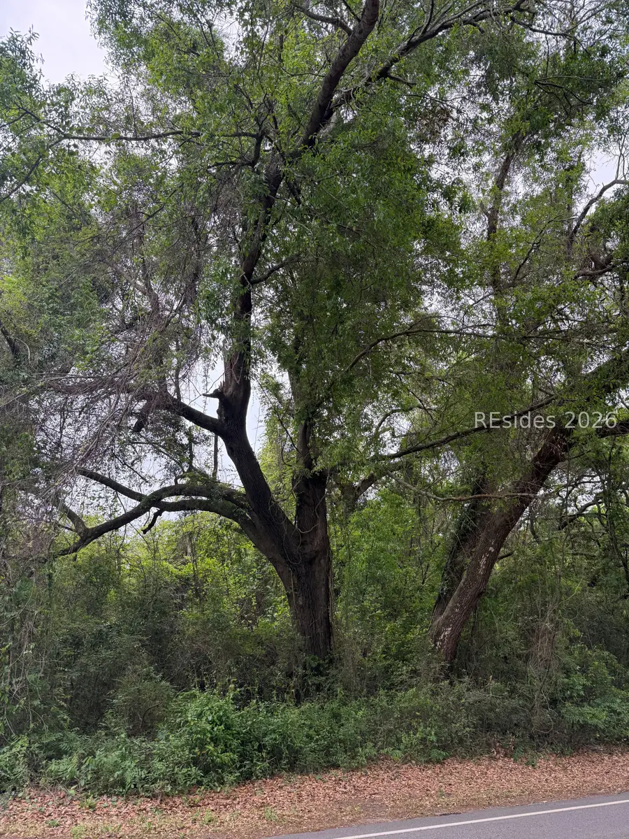 284 Wild Horse Road, Hilton Head Island, SC 29926 - #2