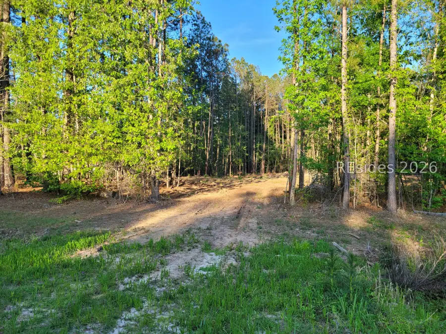 TBD Soeedway Boulevard, Hardeeville, SC 29927 - #2