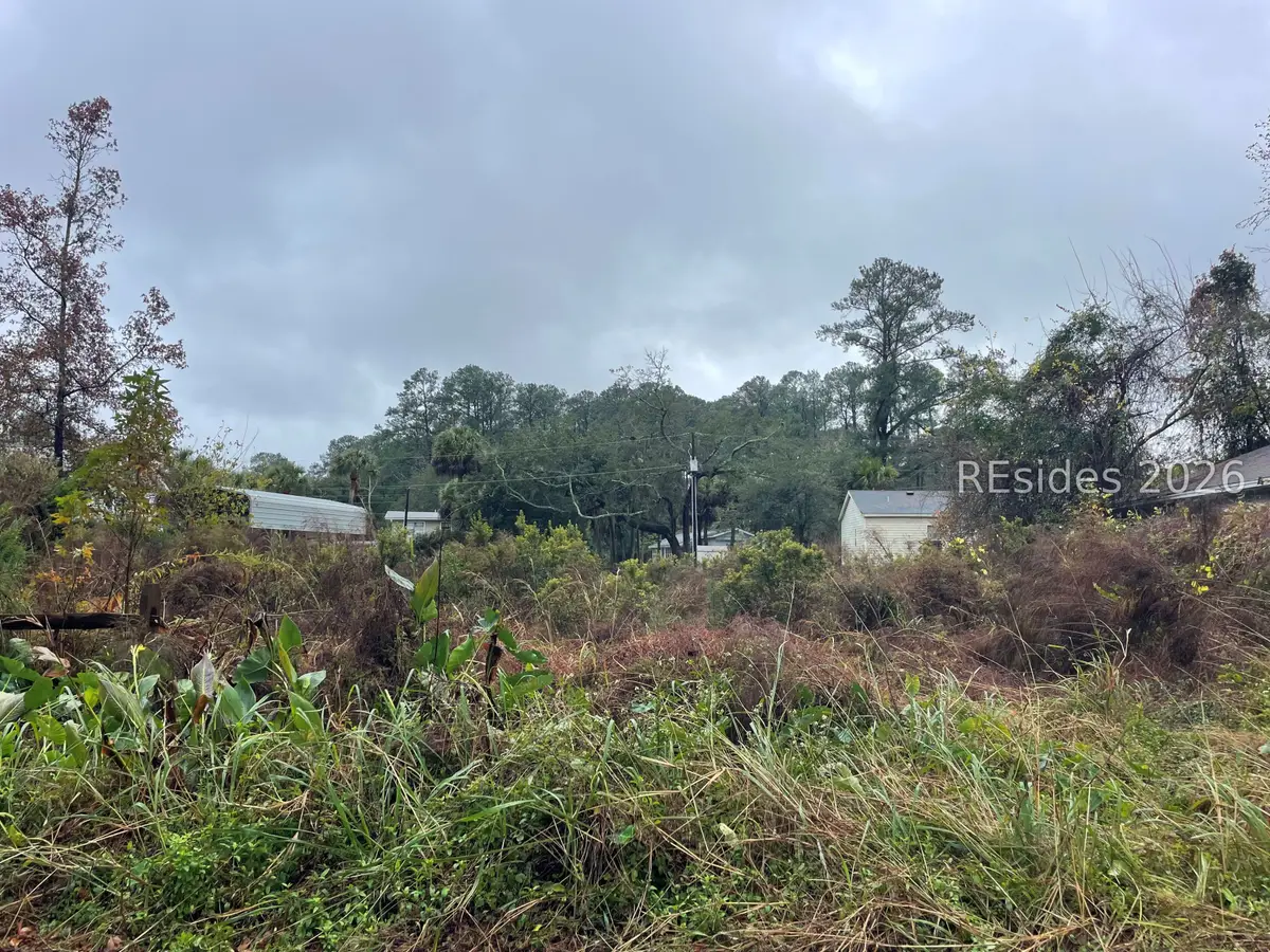 14 Tillman Street, Bluffton, SC 29910 - #1