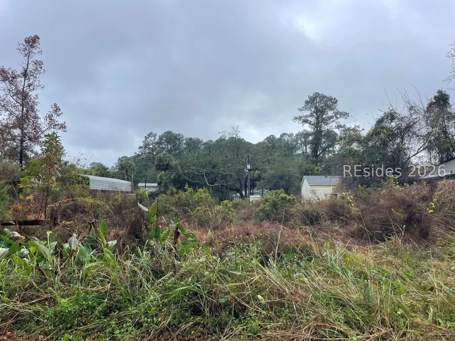 14 Tillman Street, Bluffton, SC 29910 - #2