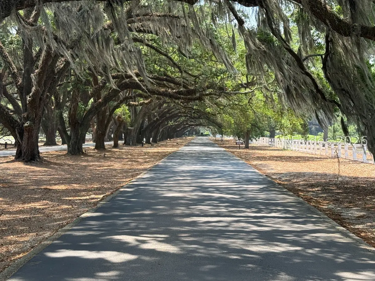 57 Manchester Court, Bluffton, SC 29910 - #1