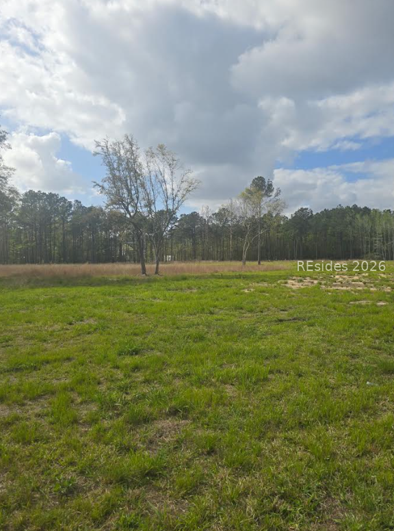 4 Roseland Road #Parcel D, Ridgeland, SC 29936 - #3