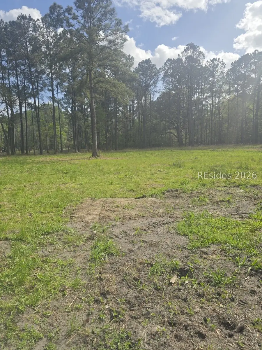 Lot A Roseland Road, Ridgeland, SC 29936 - #2