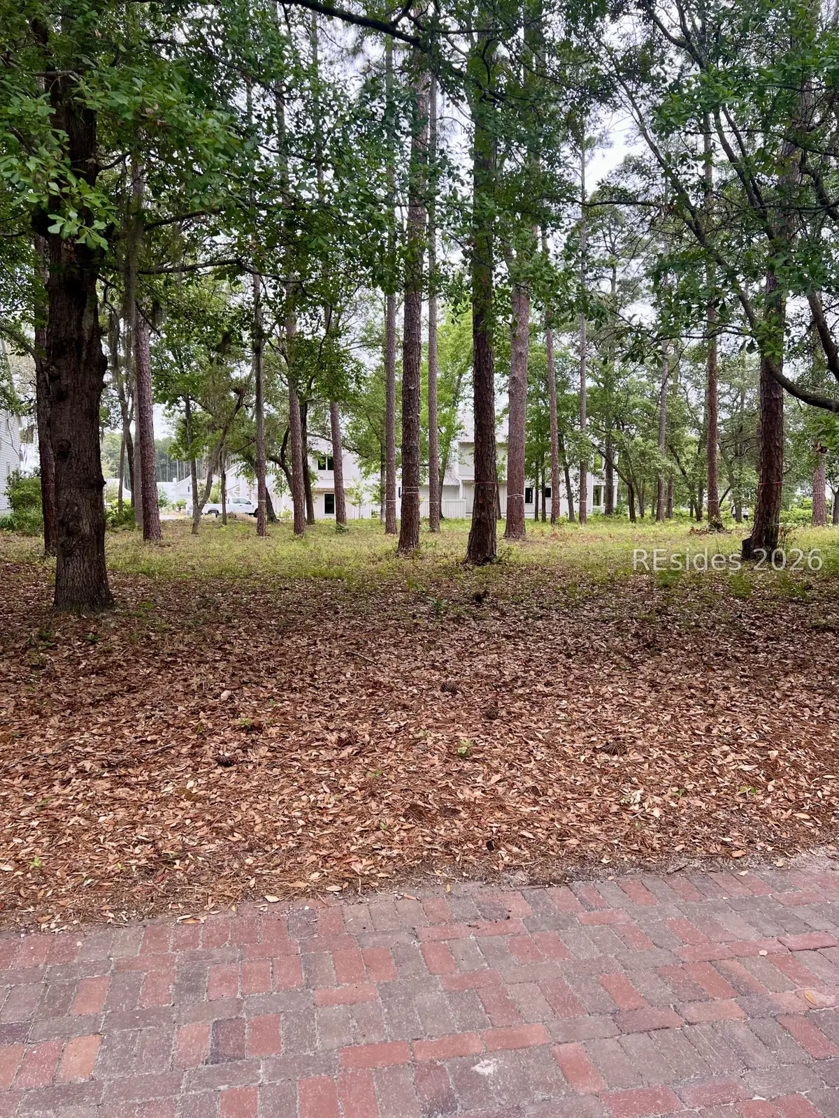 36 Red Knot Road, Bluffton, SC 29910 - #1