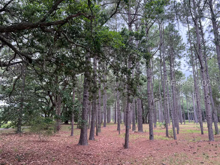 40 Okatie Bluff Road, Okatie, SC 29909 - #2