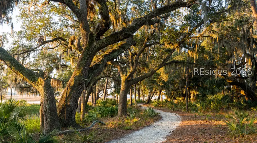 146 Amaranth Road, Bluffton, SC 29910 - #2