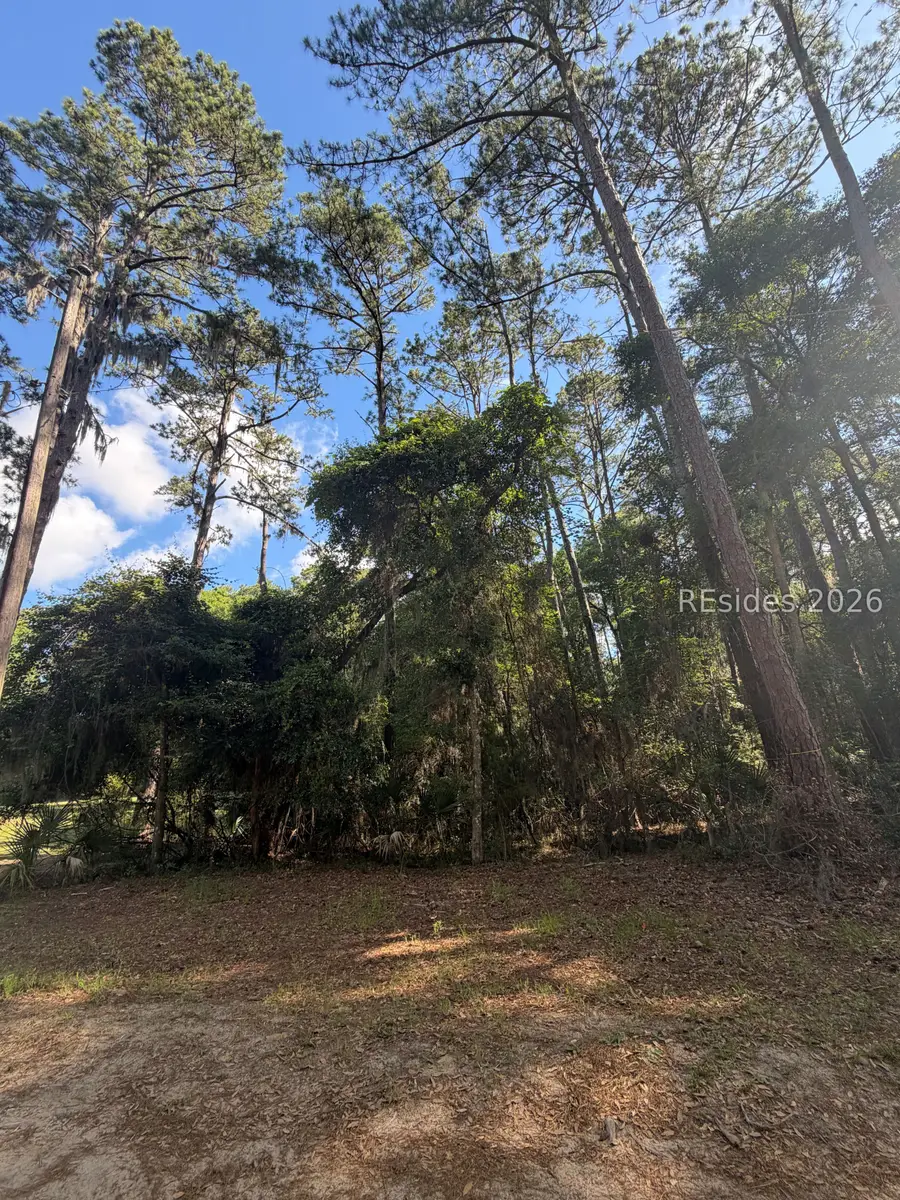 5 Ally Court, Daufuskie Island, SC 29915 - #2