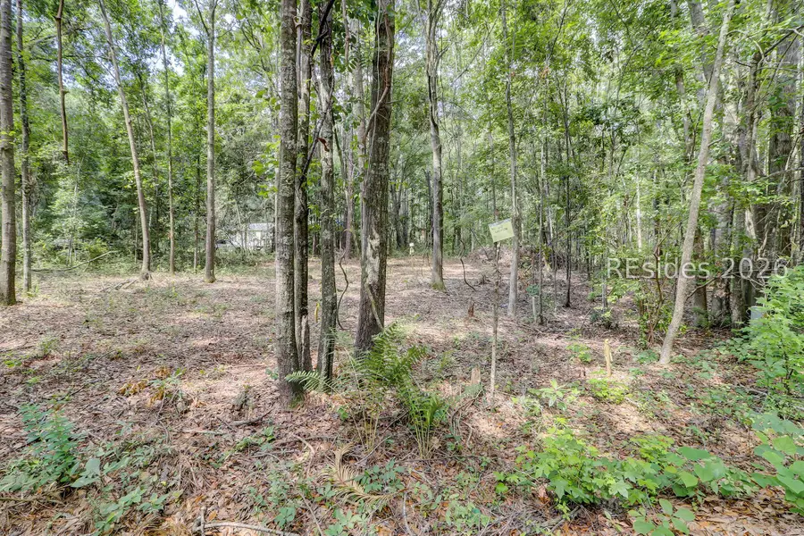 29 Davis Court, Bluffton, SC 29910 - #2