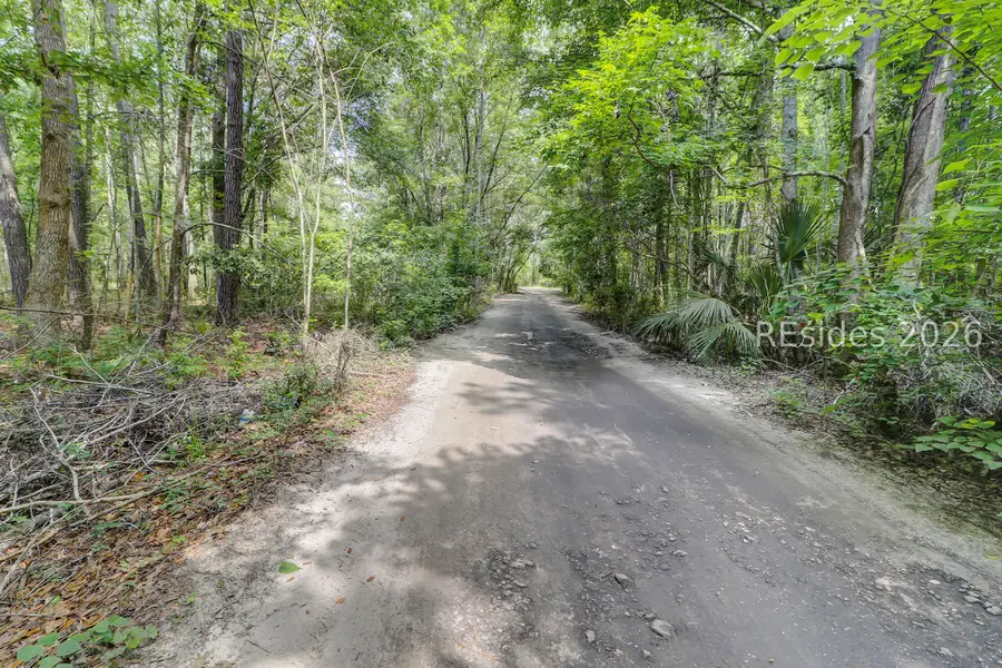 29 Davis Court, Bluffton, SC 29910 - #3