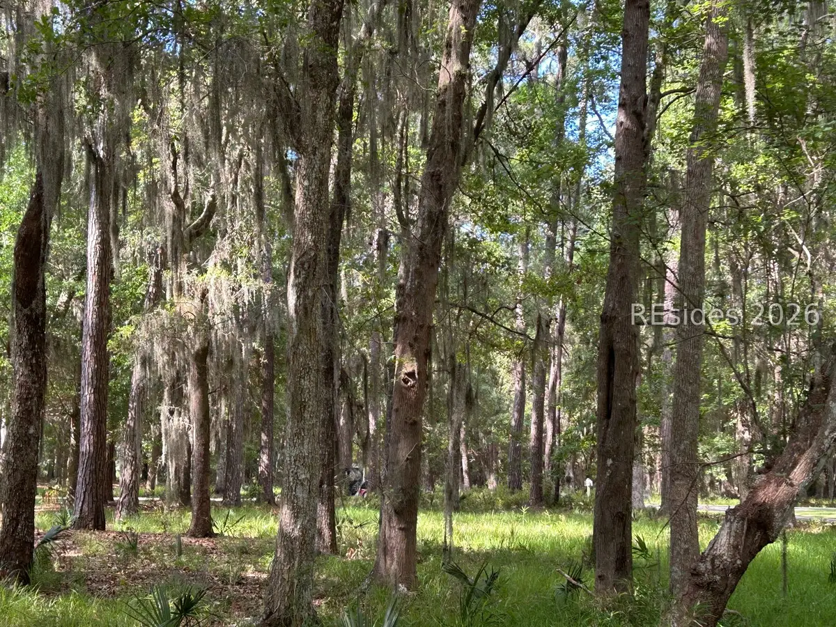 102 Primrose Lane, Daufuskie Island, SC 29915 - #1