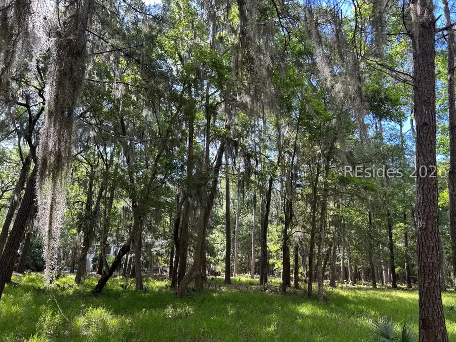 102 Primrose Lane, Daufuskie Island, SC 29915 - #2