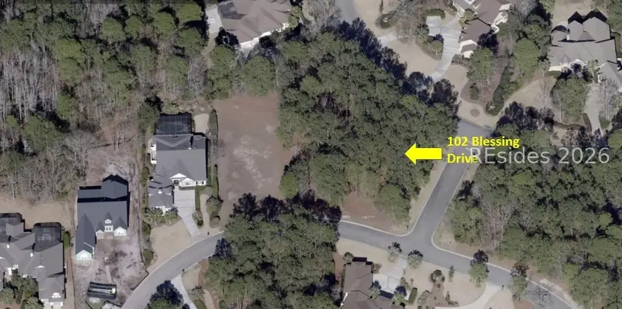 102 Blessing Drive, Bluffton, SC 29909 - #3