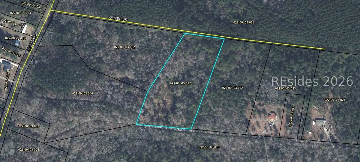 TBD Oliver Drive, Pineland, SC 29934 - #1