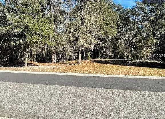 242 Farnsleigh Avenue, Bluffton, SC 29910 - #3