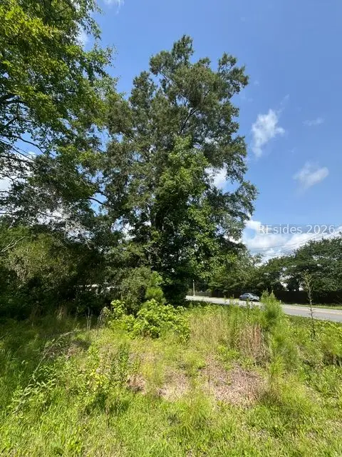 TBD Parsons Road, Summerville, SC 29483 - #3