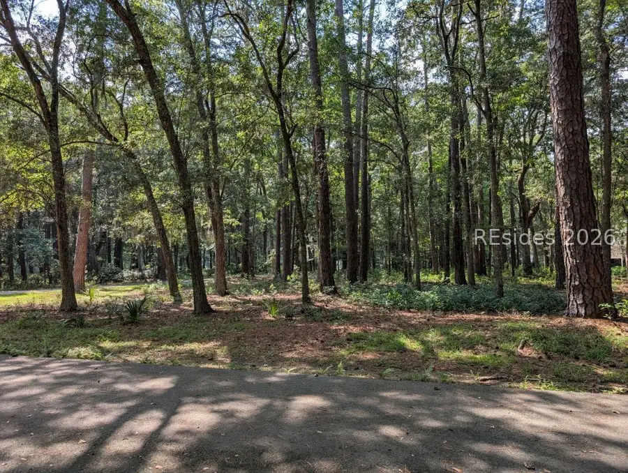 5 Confederate Court, Daufuskie Island, SC 29915 - #2
