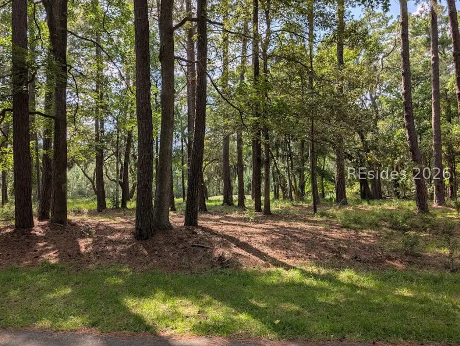 5 Confederate Court, Daufuskie Island, SC 29915 - #3