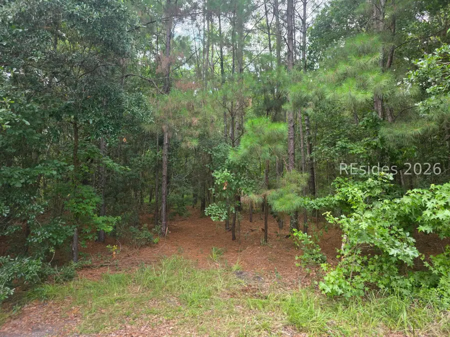 1611 S Okatie Highway, Hardeeville, SC 29927 - #3