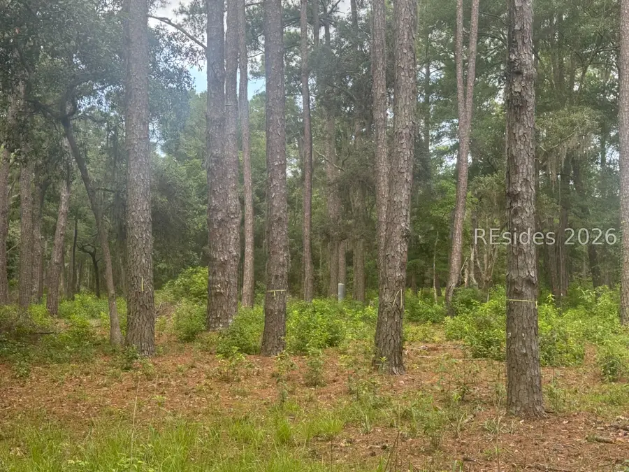 330 School Road, Daufuskie Island, SC 29915 - #2