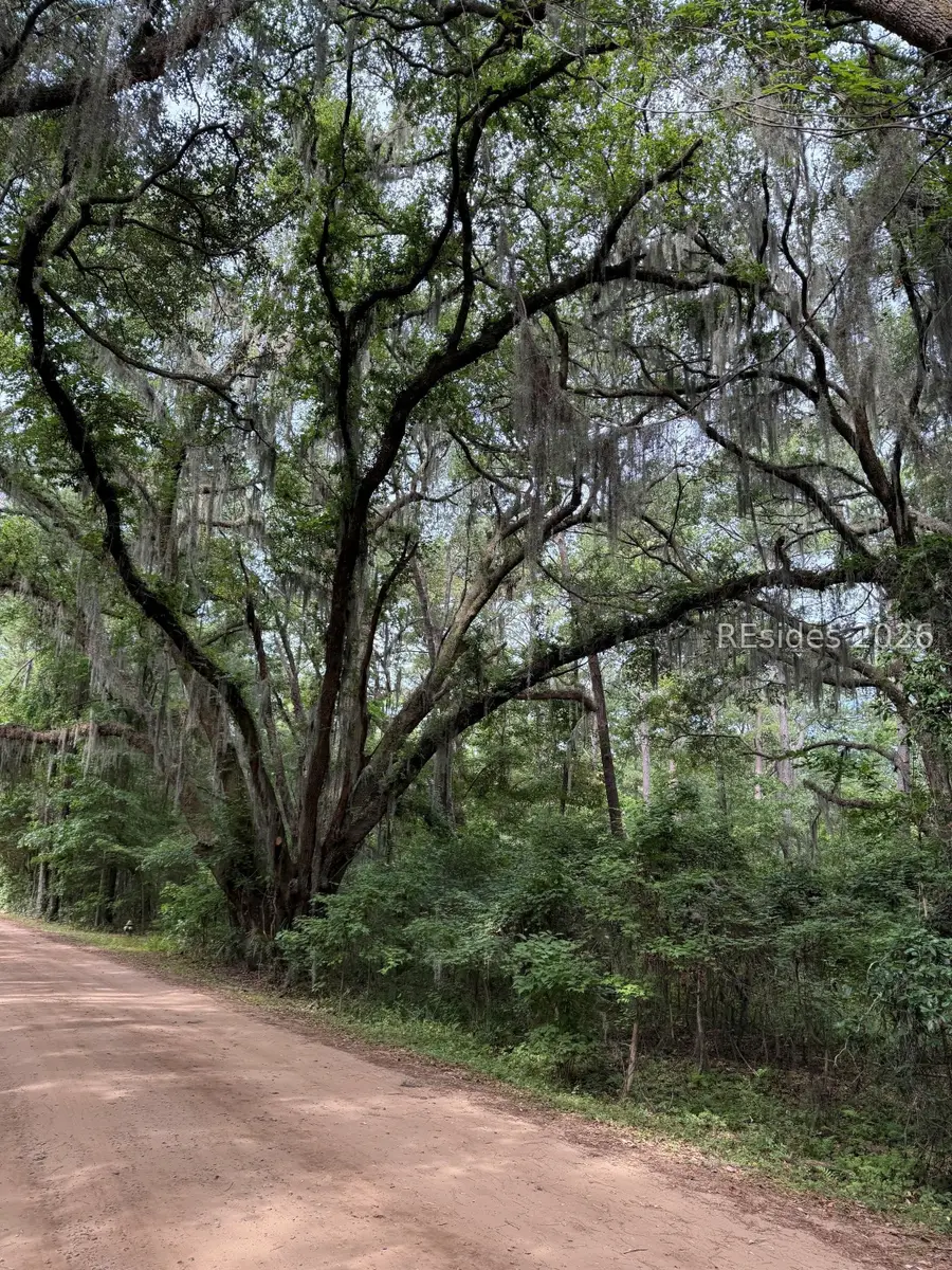 1 Little Neck, Okatie, SC 29909 - #2