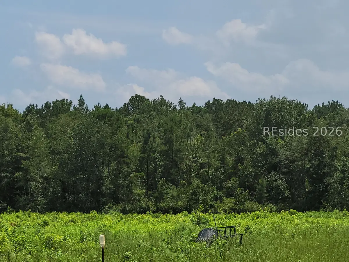 TBD Toomerville Loop, Hardeeville, SC 29927 - #1