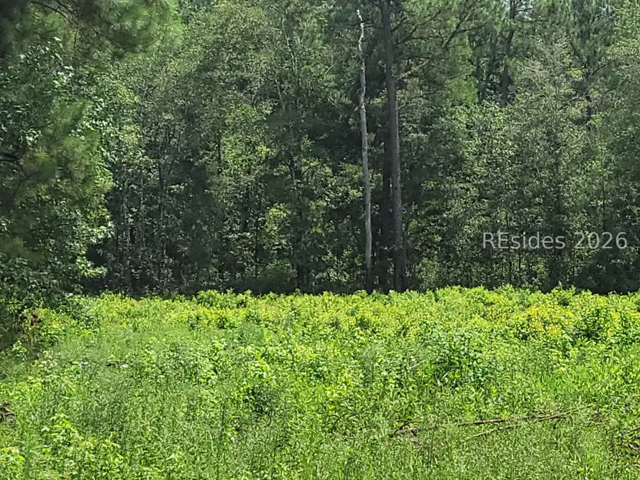 TBD Toomerville Loop, Hardeeville, SC 29927 - #2
