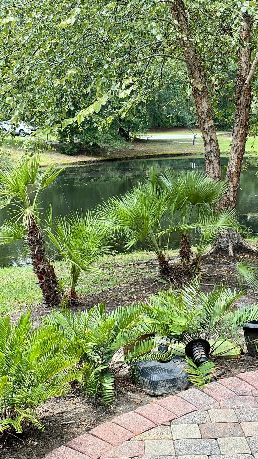 6 Fair Hope Lane, Bluffton, SC 29910 - #3