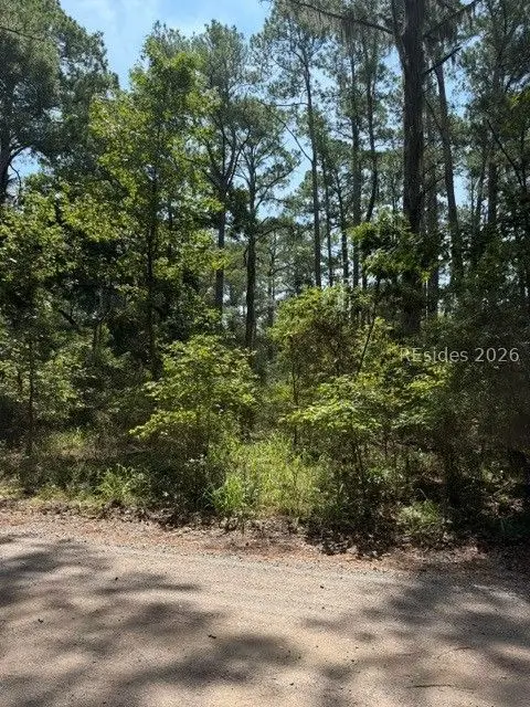 396 School Road, Daufuskie Island, SC 29915 - #1