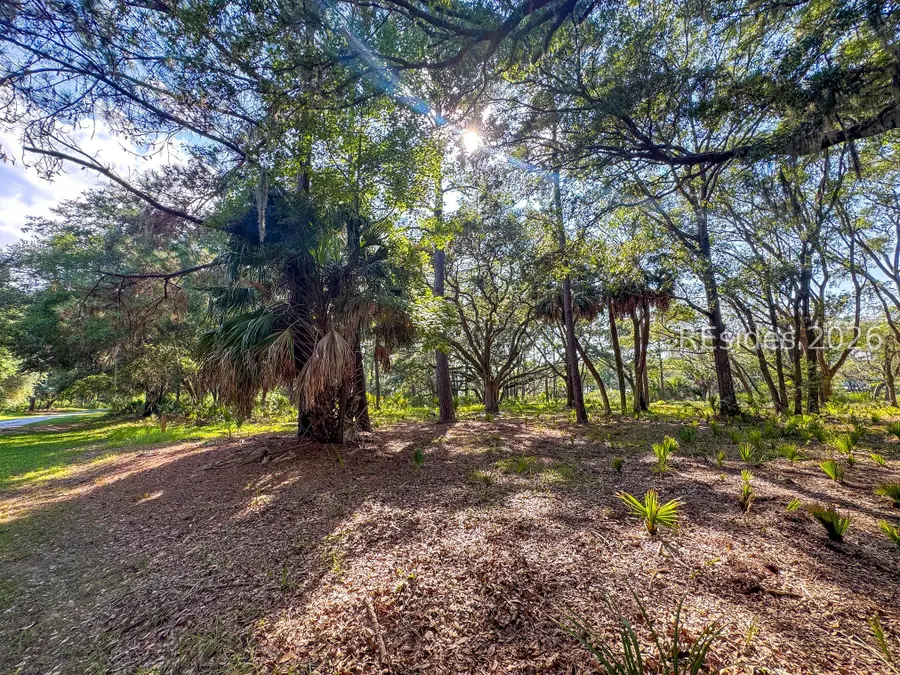 78 Fuskie Lane, Daufuskie Island, SC 29915 - #3