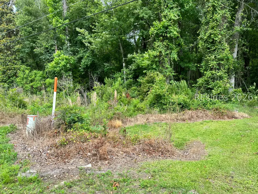 Lot 3 Estelle Road, Beaufort, SC 29906 - #2