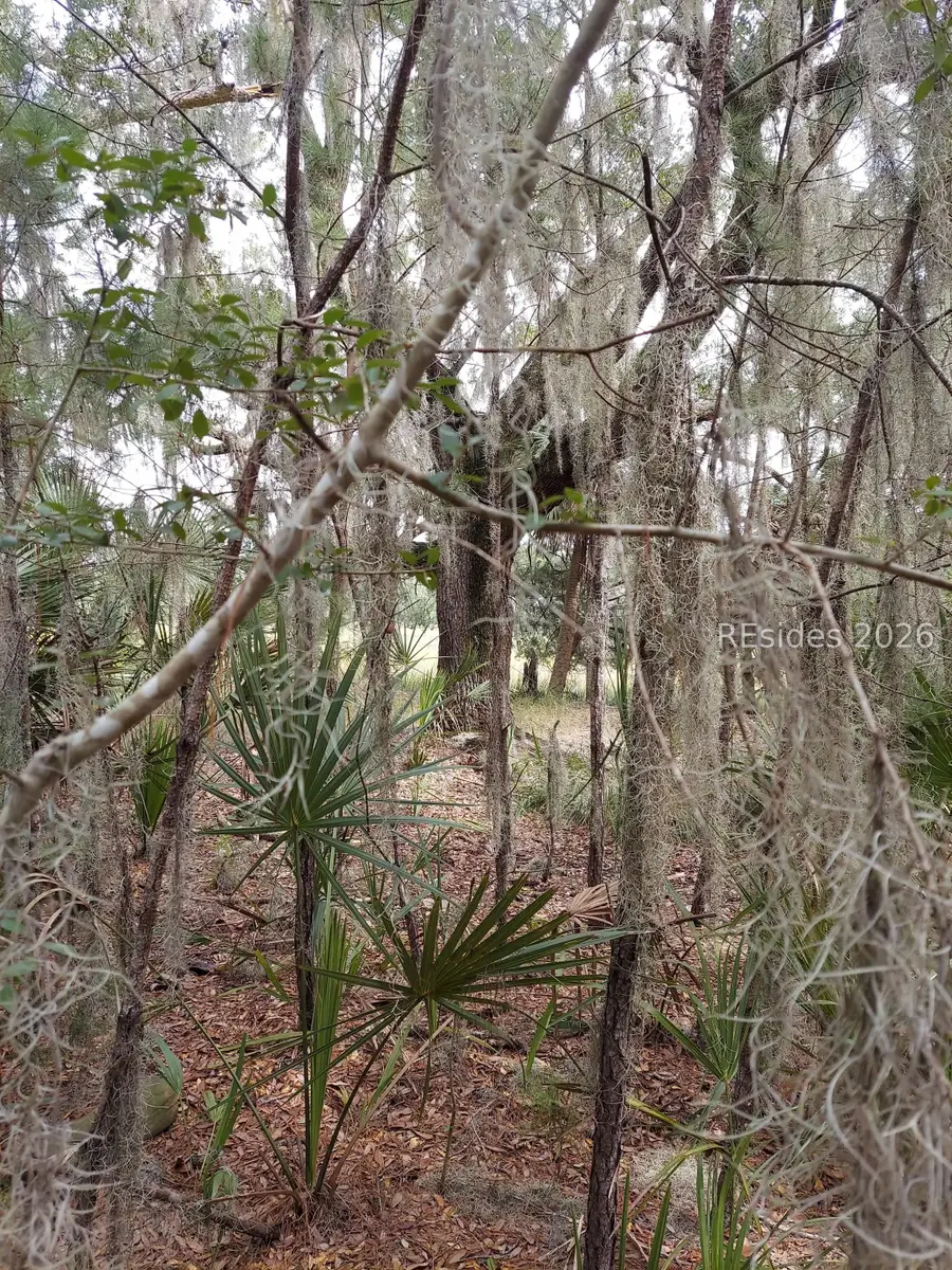 8 Governer Blake Drive, Beaufort, SC 29907 - #2