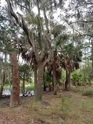 8 Governer Blake Drive, Beaufort, SC 29907 - #3