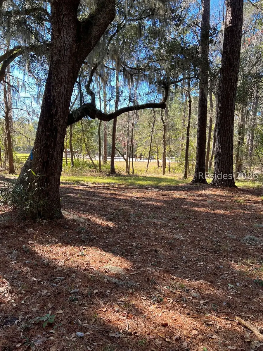 17 Little Neck, Okatie, SC 29909 - #2