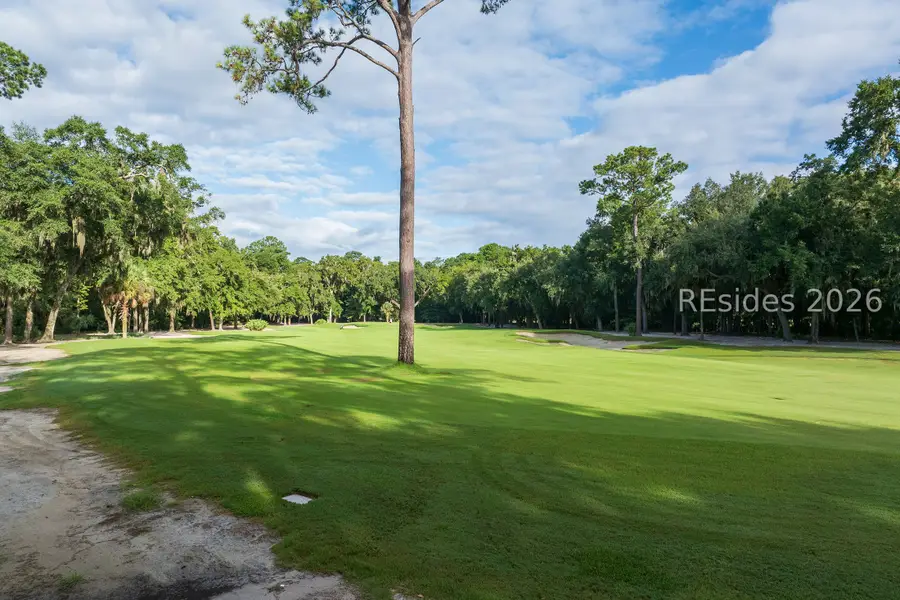 58 Blue Willow Street, Bluffton, SC 29910 - #3