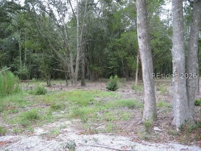 401 Stock Farm Road, Ridgeland, SC 29936 - #2