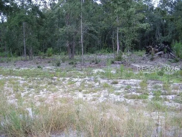 401-2B Stock Farm Road, Ridgeland, SC 29936 - #3