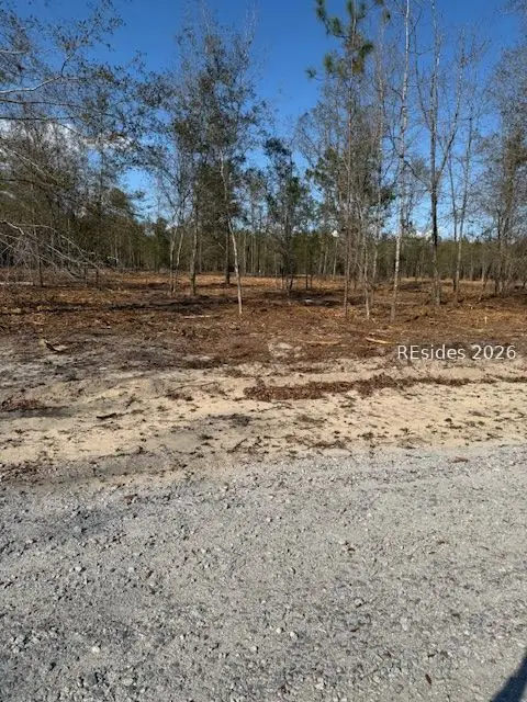 401-1C Stock Farm Road, Ridgeland, SC 29936 - #1