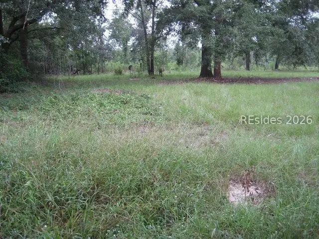 401-1C Stock Farm Road, Ridgeland, SC 29936 - #2