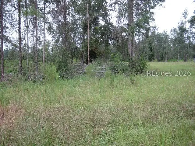401-1C Stock Farm Road, Ridgeland, SC 29936 - #3