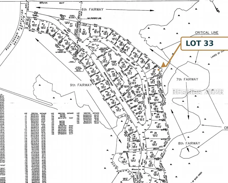 37 Bass Creek Lane, Bluffton, SC 29910 - #3