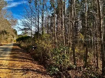 268 Sylvester Road, Varnville, SC 29944 - #1