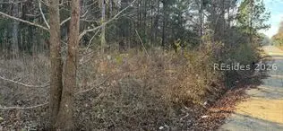 268 Sylvester Road, Varnville, SC 29944 - #2