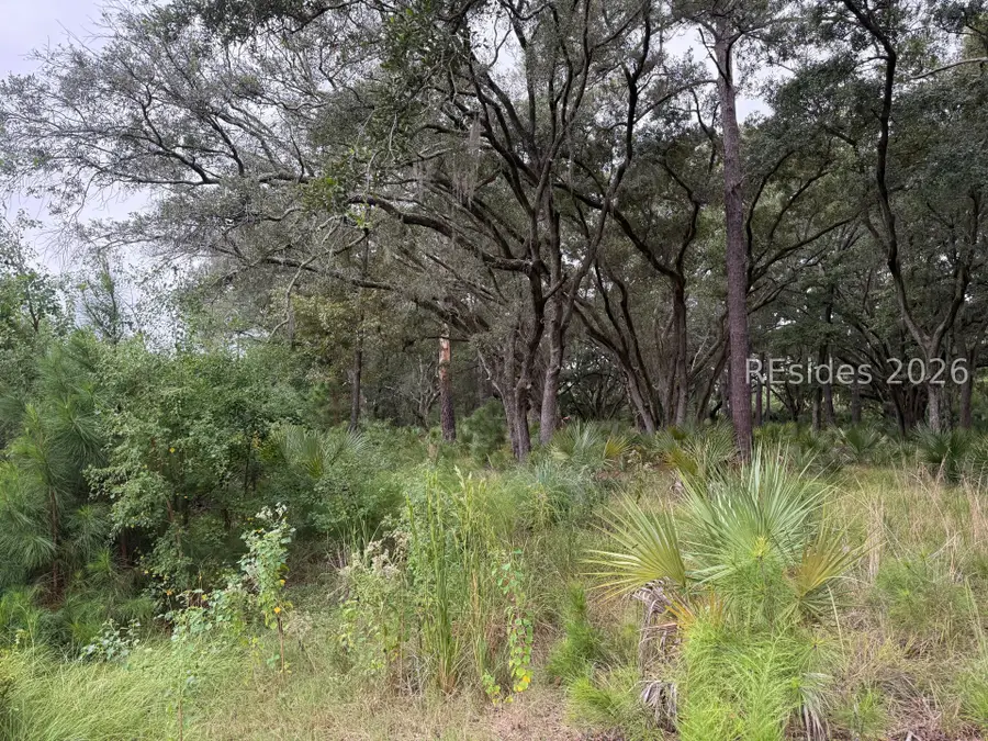 24 Fuskie Lane, Daufuskie Island, SC 29915 - #2