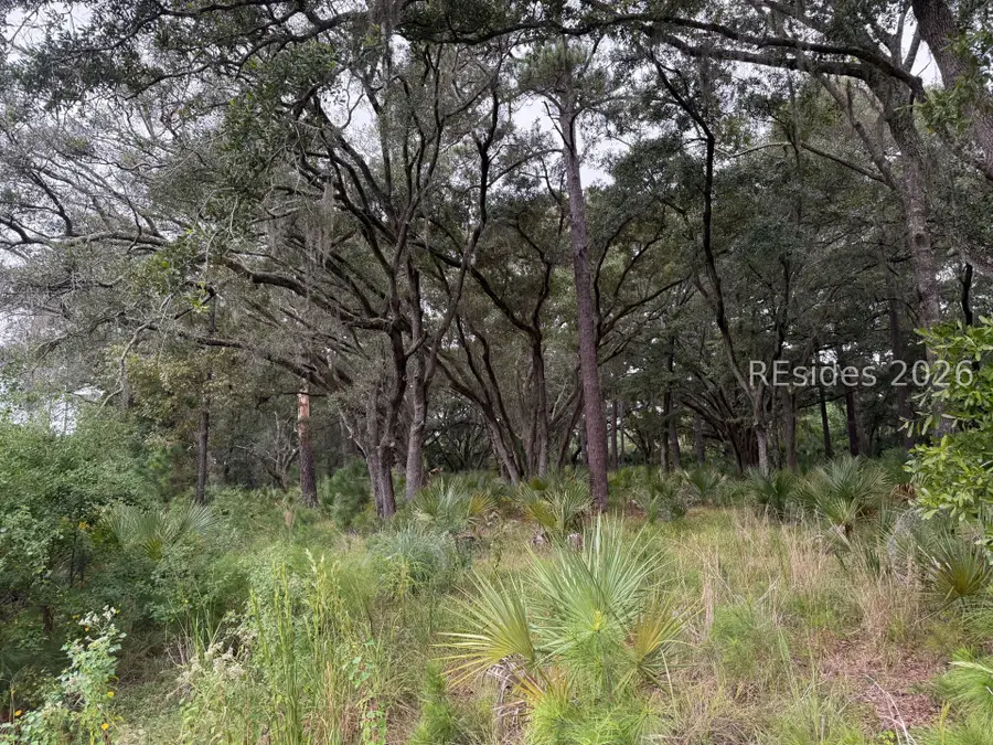 24 Fuskie Lane, Daufuskie Island, SC 29915 - #3