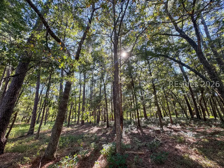 55 Volunteers Ridge, Daufuskie Island, SC 29915 - #3