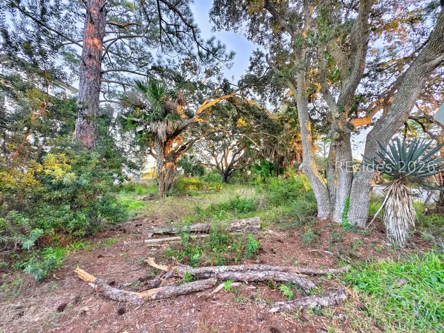 2 Sea Front Lane, Hilton Head Island, SC 29928 - #3